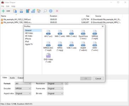 Video Shaper Pro 3.7 Portable Video Shaper Pro 3.7 Portable