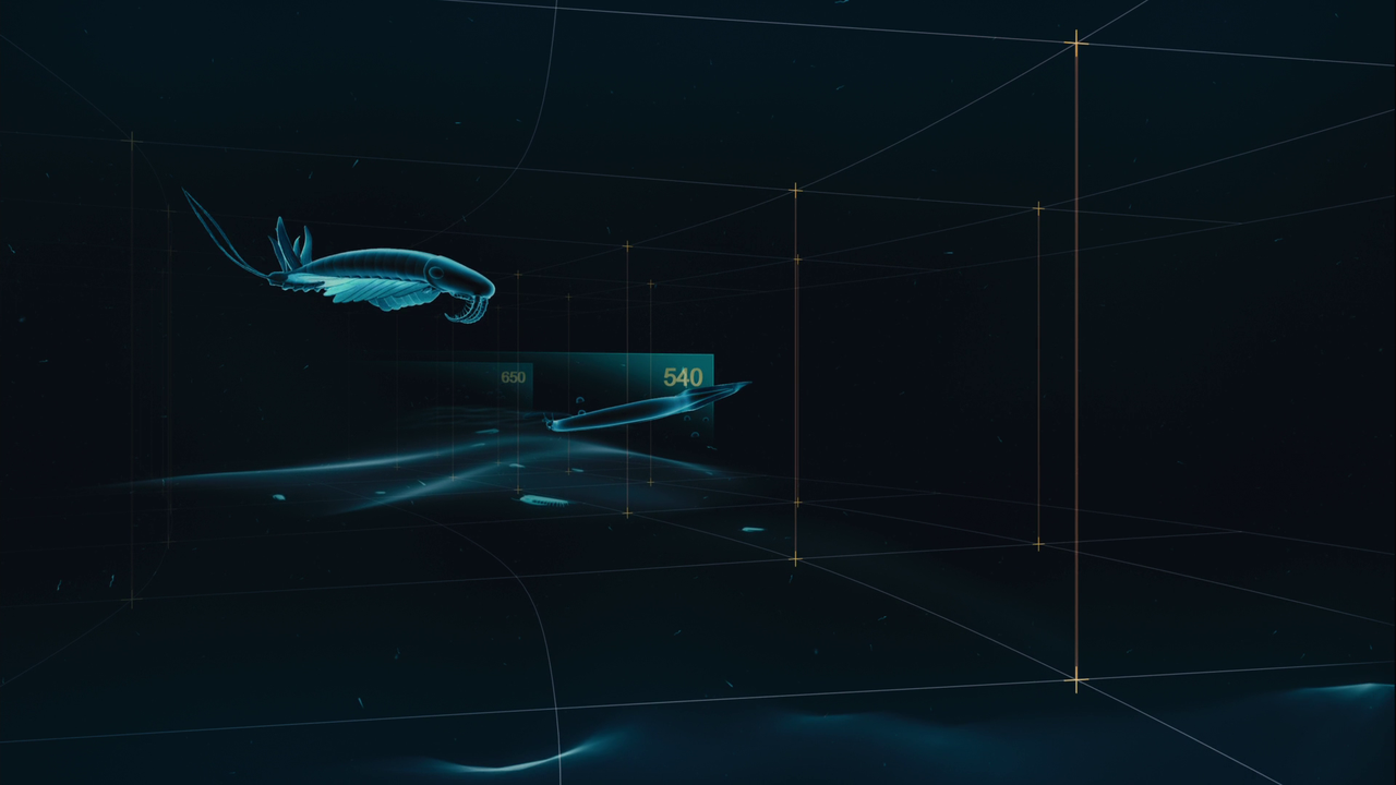 vlcsnap-2023-02-11-16h54m52s647