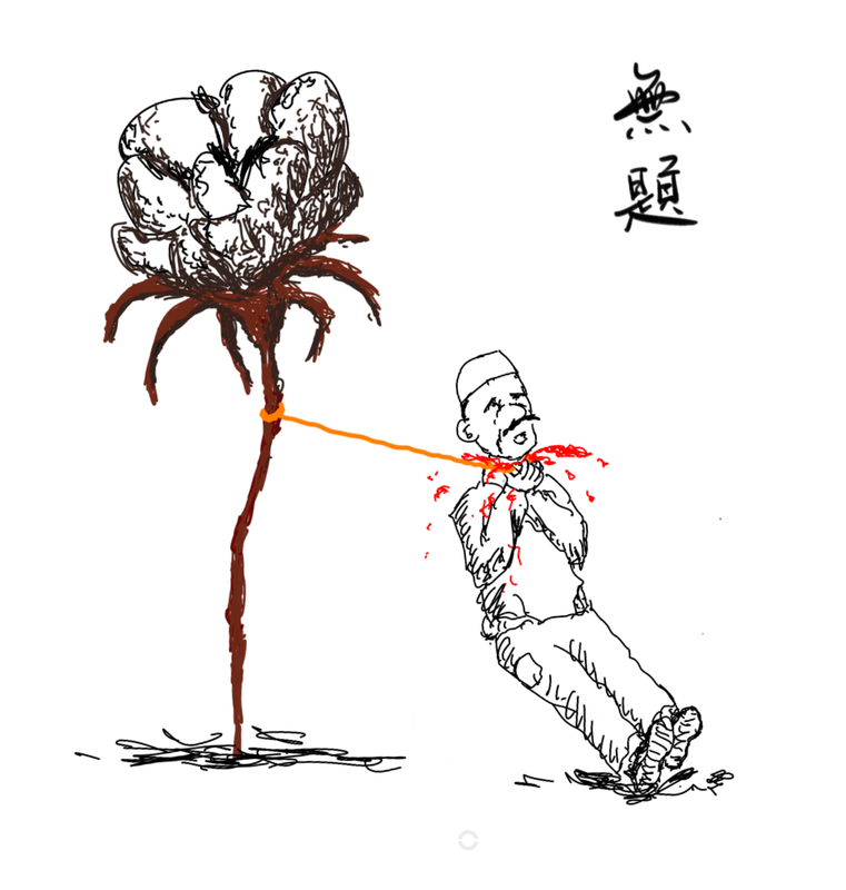 https://i.postimg.cc/RFJ7nyHZ/cotton.png