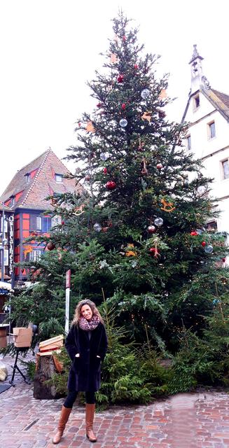 ALSACIA EN NAVIDAD Y MONTREUX CON PAPÁ NOEL - Blogs de Europa Central - 1Dic: Nos acercamos a Obernai y seguimos en la mágica Estrasburgo (5)