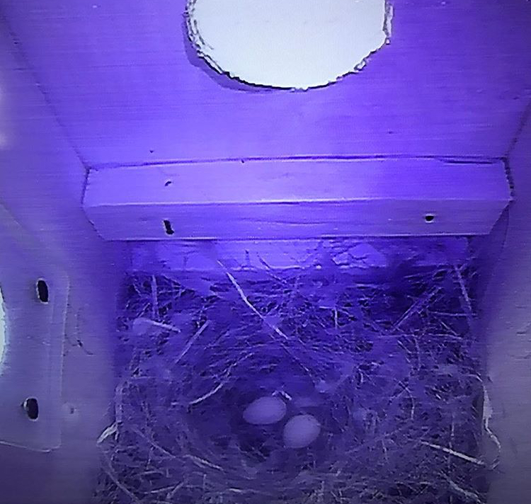 C15E9628-1144-4D66-9B4C-2F239922C781