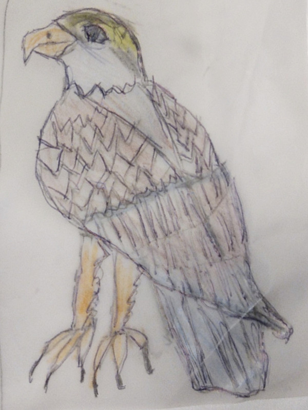 1619915516781-c9d01b0e-cc20-45a4-98d7-086585e8cea8_