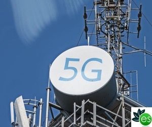 emf-scientific-research-300x251