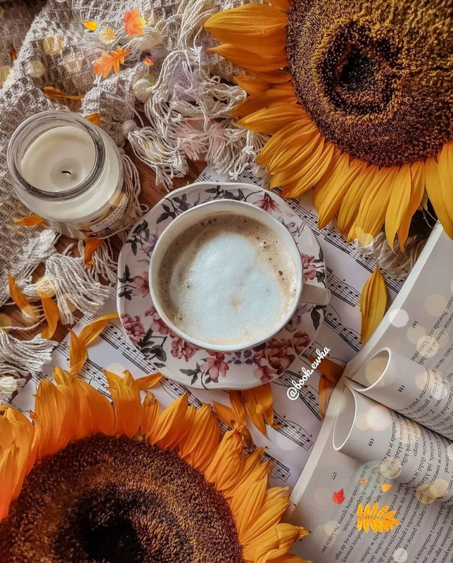 Screenshot_20240112_225310_Instagram