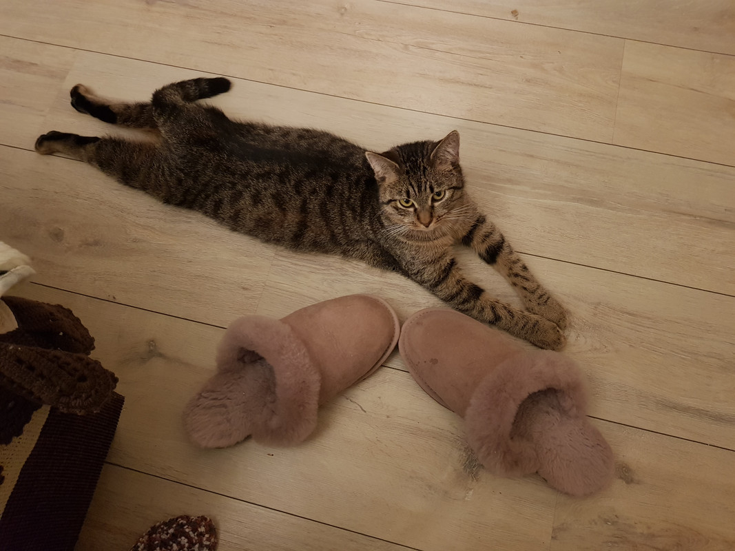 20190125-183315.jpg