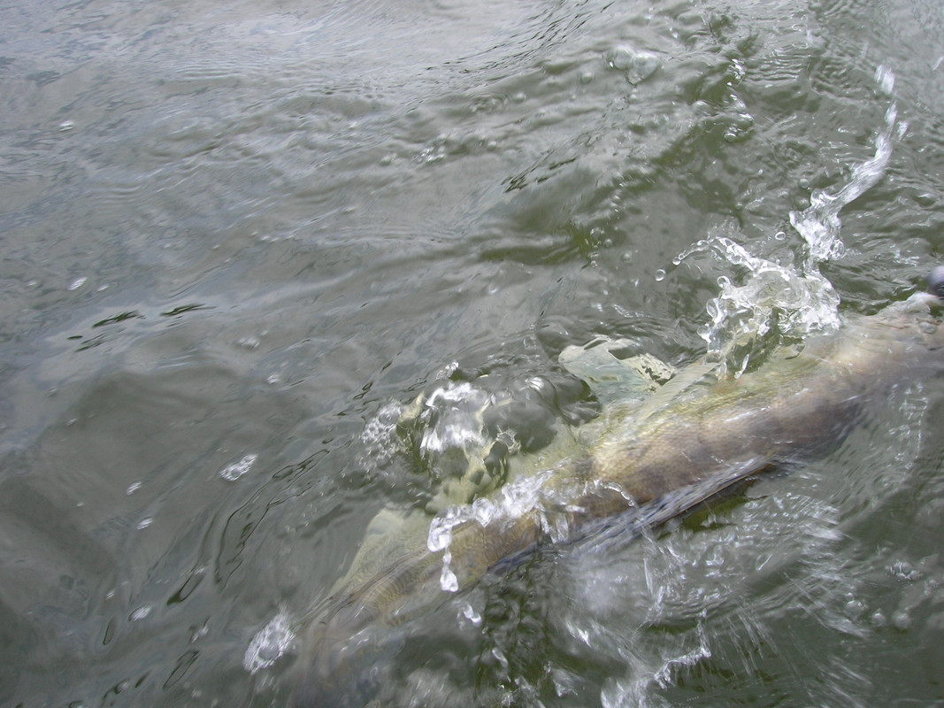 2 джиг спиннинг рыбалка  блесна воблер катушка  судак щука окунь таймень мастер-класс Куляпин Андрей