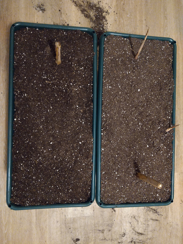 IMG_20240930_214725115