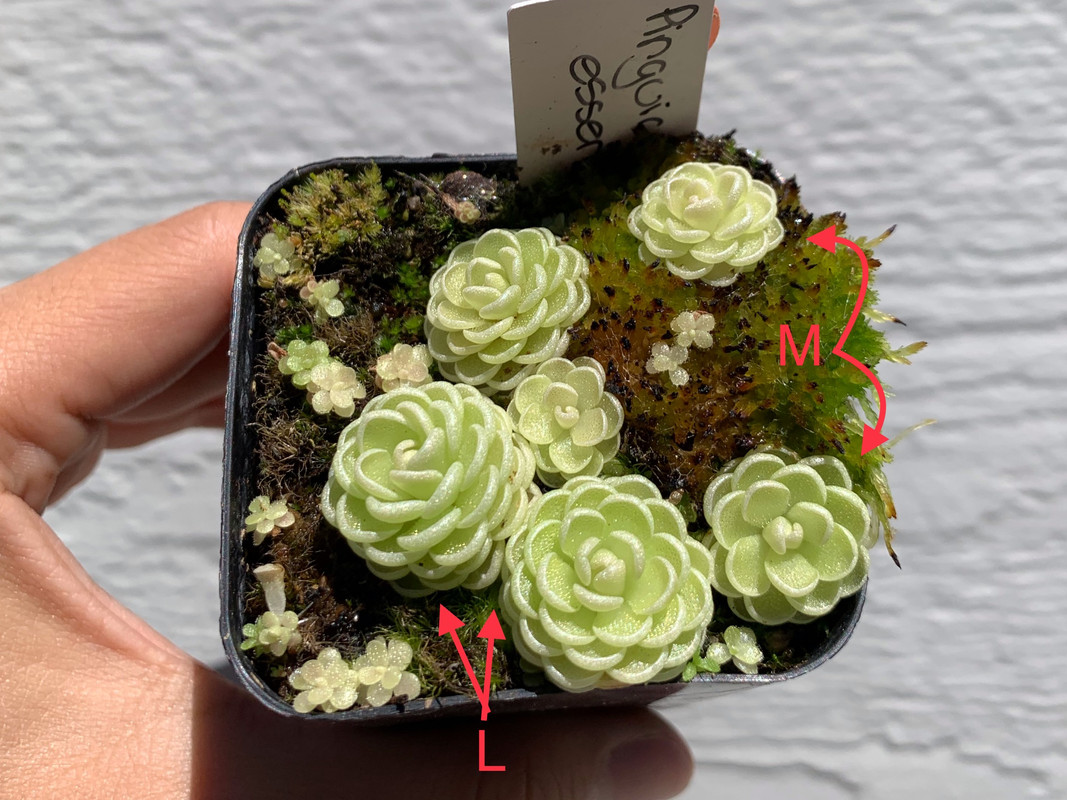 1EF9AEAA-6135-4F3A-9D11-0265CE90F27D