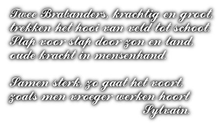 cooltext504234336227903