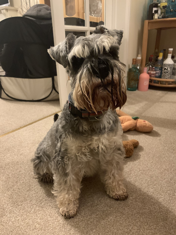 C8C9E8B7-ED63-4F6E-ABE4-DE8F717C49EB