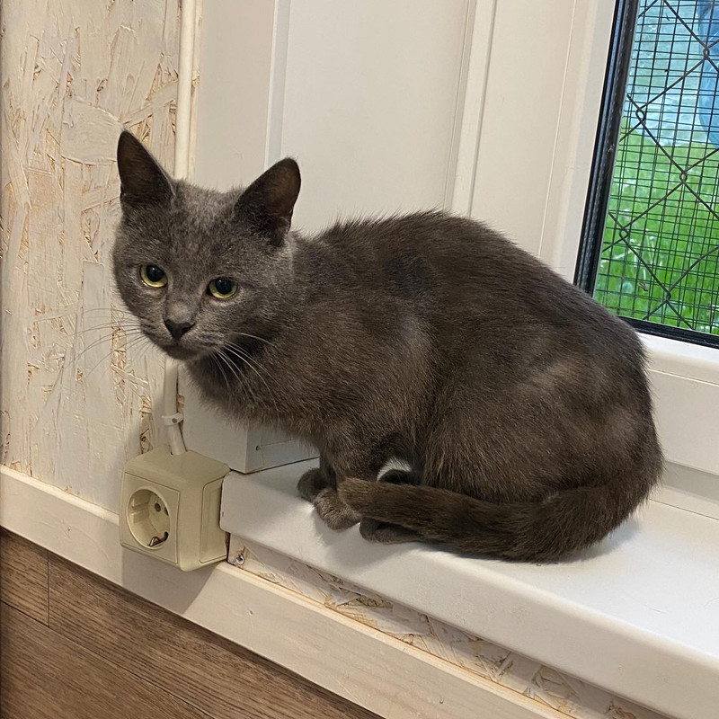 9BF72ABF-5C30-41BD-8D81-F571143C5295