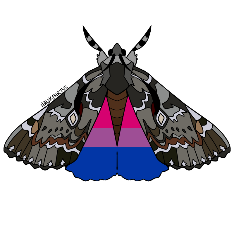 moths1-2