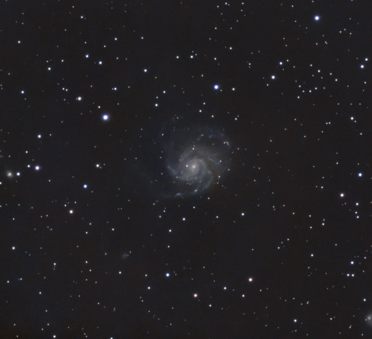 M101 Cropped