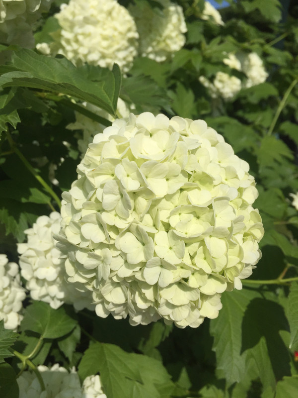 1D45ECB8-0814-415C-8750-DB9712F56834