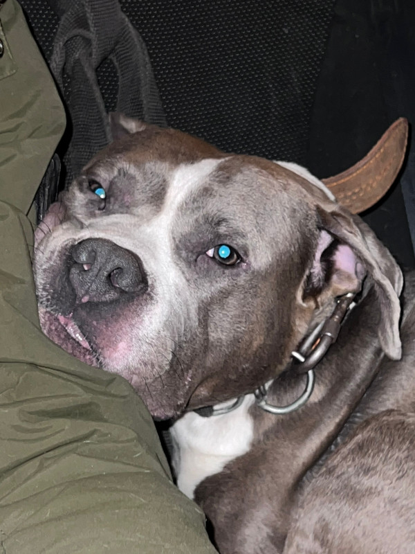 E70122C6-5969-4116-9147-E1C187767D64