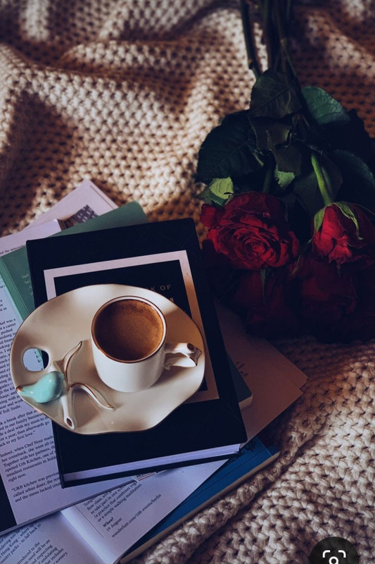 Screenshot_20230731_231509_Pinterest