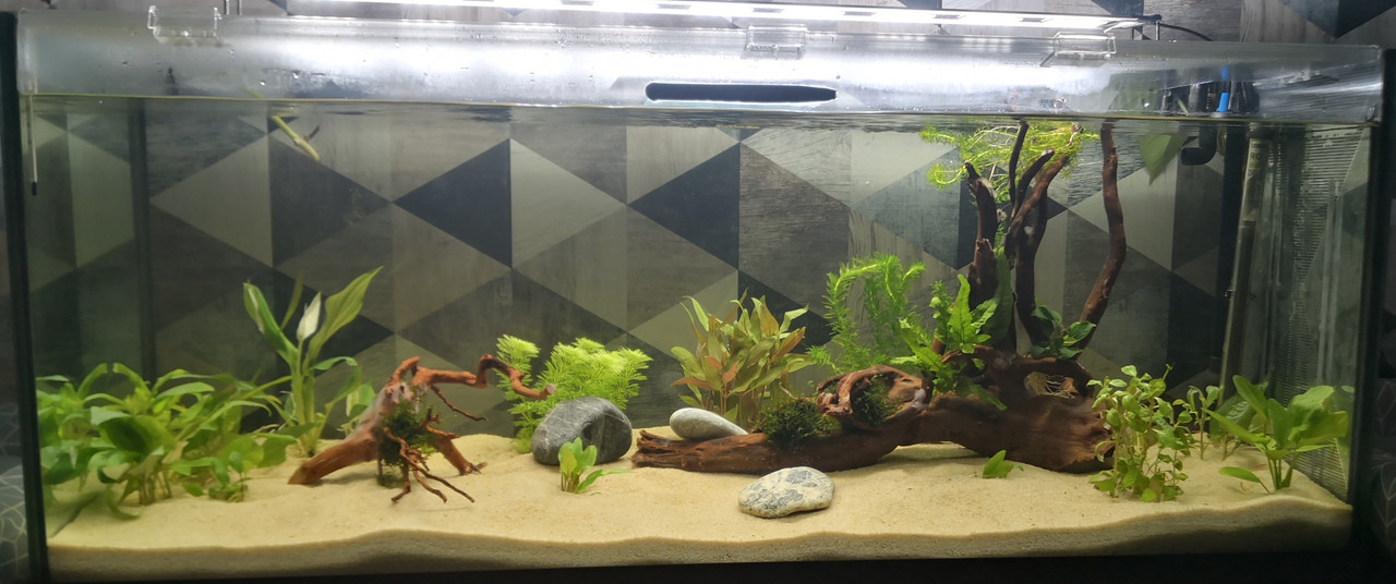 IMG_20241206_171934_edit_1118435980670481