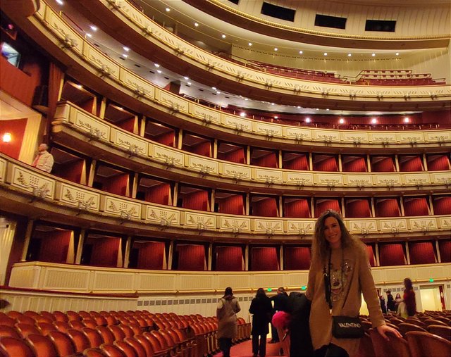 Viena - Bratislava - Praga, Navidad 2024 - Blogs de Europa Central - Mercados Navideños de Viena y Catedral (26)