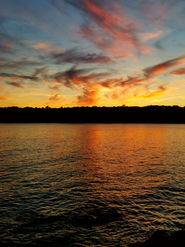 IMG-20211016-191924.jpg