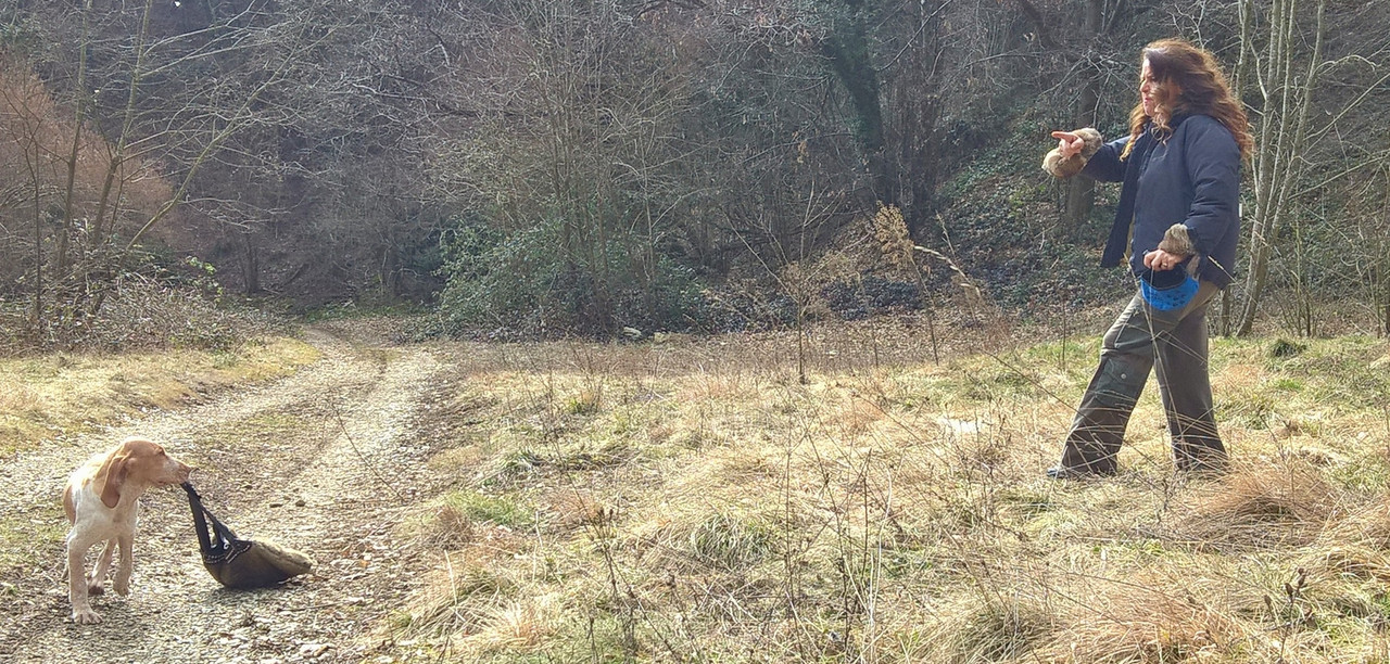 WP_20180309_14_23_06_Pro