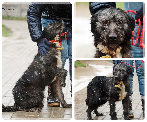 BeFunky-collage (23)