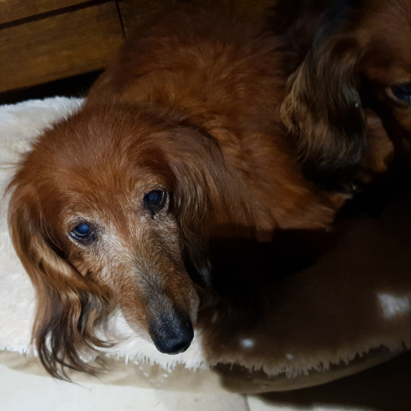 [Image: 20210204-070539.jpg]