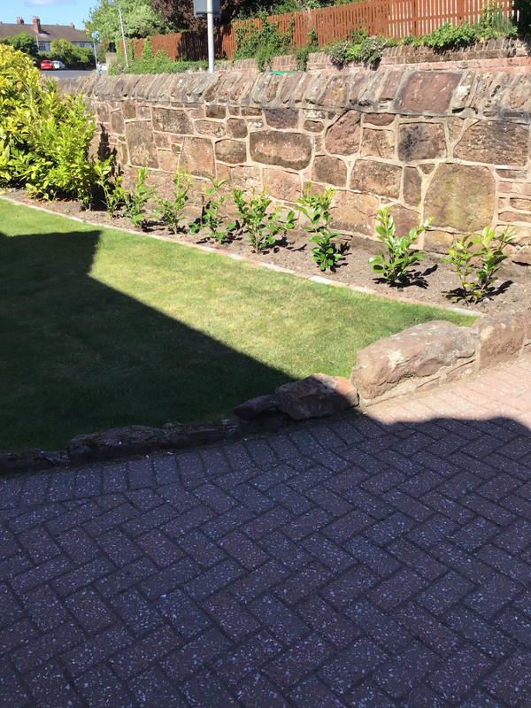 85C87DCA-F48F-4889-A0BE-B90ECB405A91