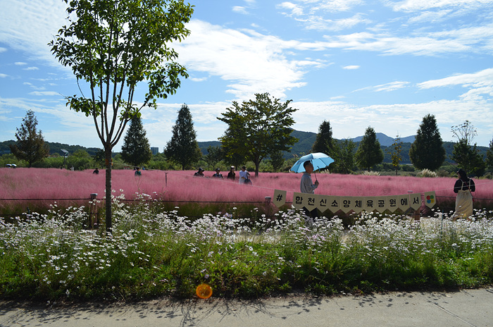 DSC-0717