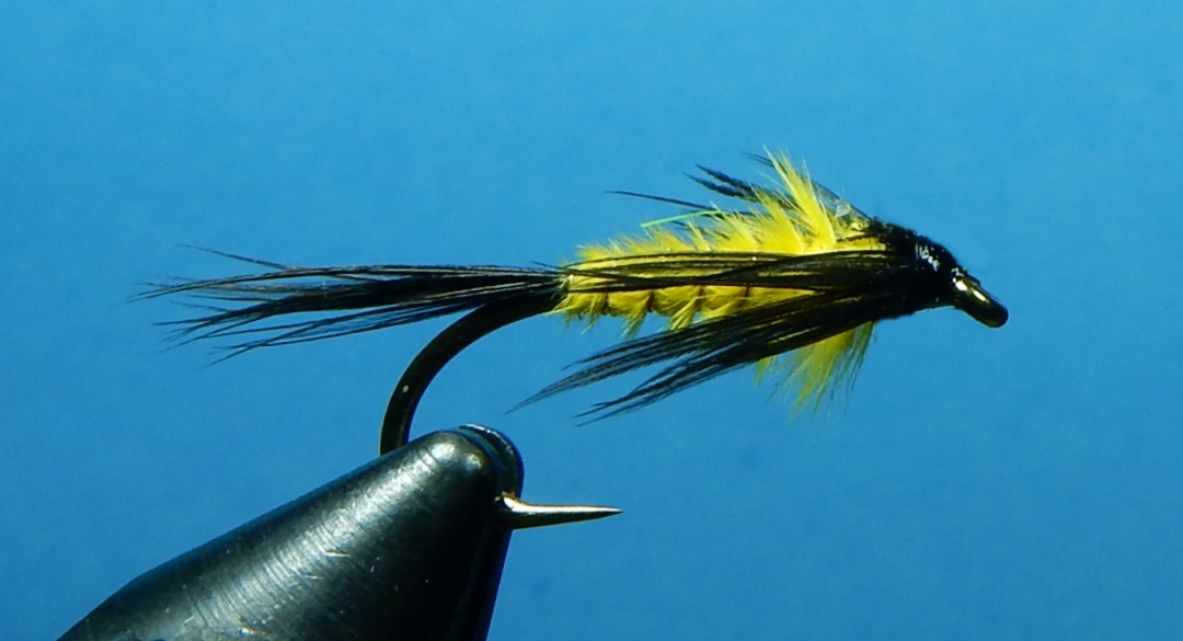 Lindgren-s-Yellow-Nymph-1080.jpg