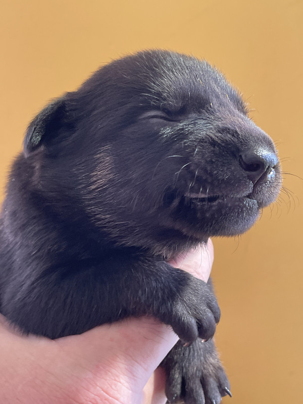 A46630FD-78B5-461E-8ADD-B42EB6850D89