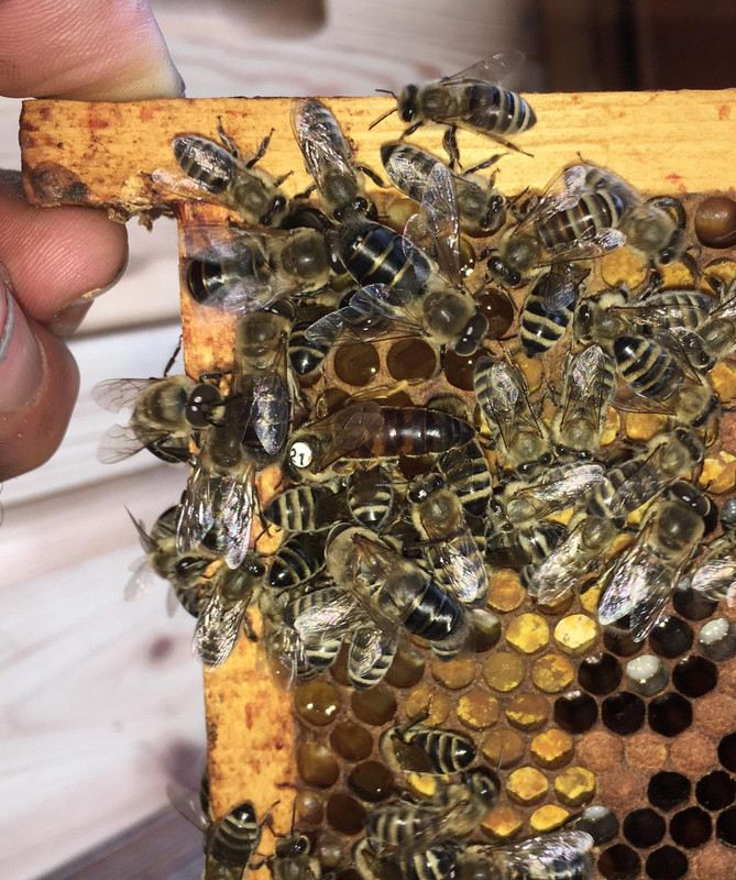 F3EBA21C-B32D-4D25-AE3A-F0C5C2788C6B