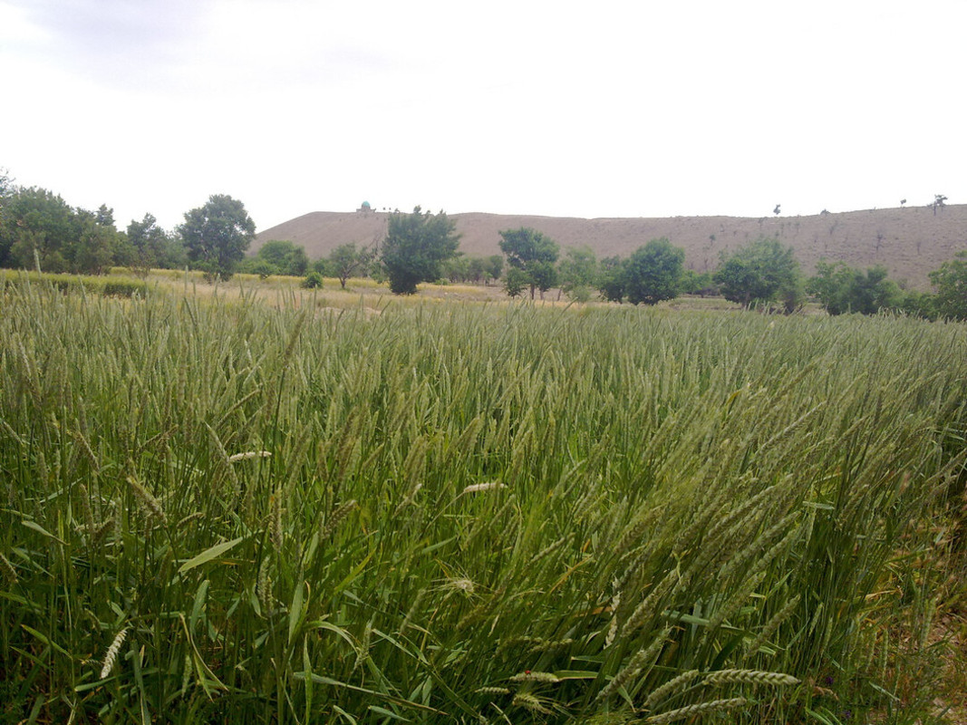 مناظری زیبا از خانیک-تابستان92-نماهنگ