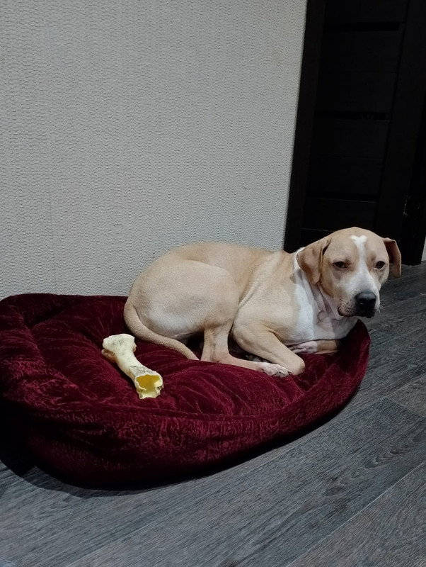 A92A2B24-18CC-4231-9C43-189F29B98913