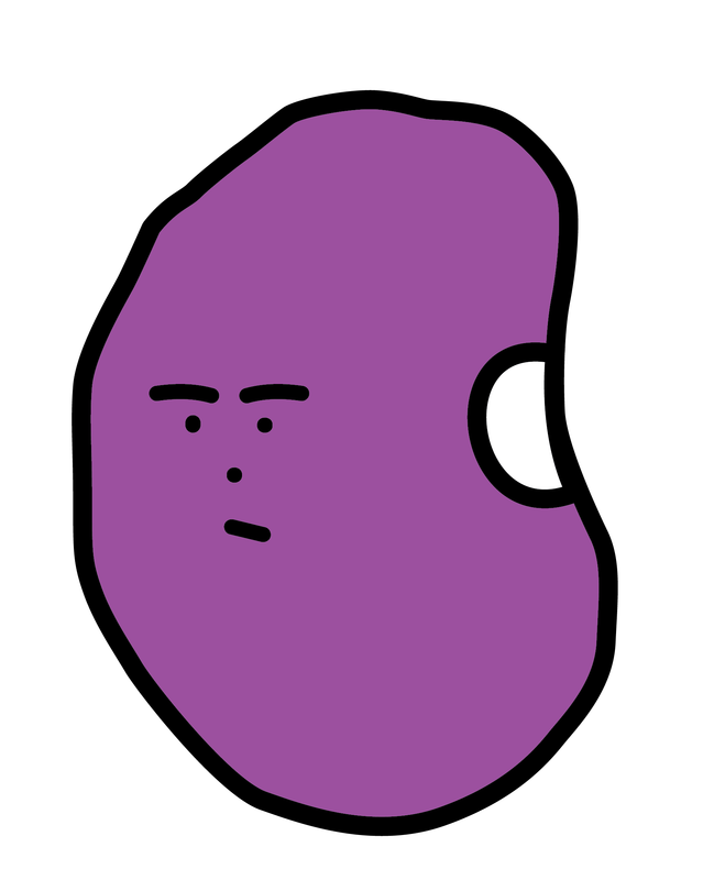 저속노화 방범대 렌틸콩