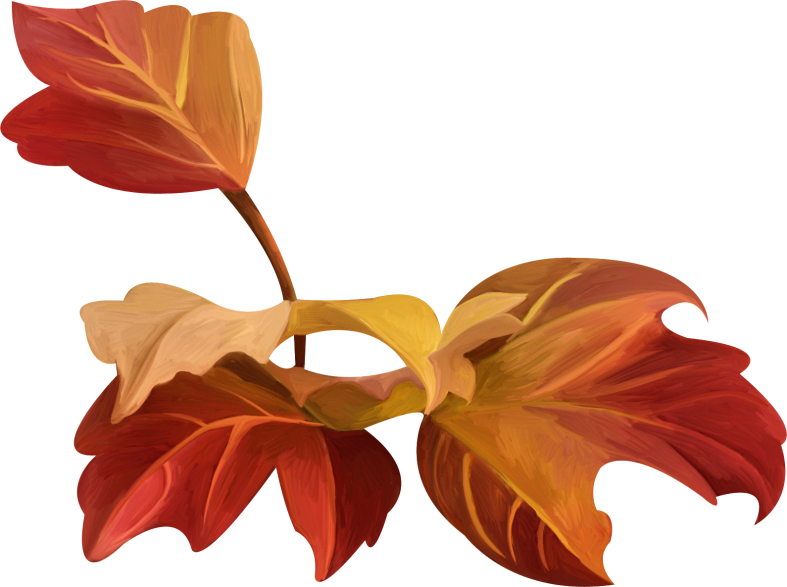 Pumpkinfairykitpudnplants