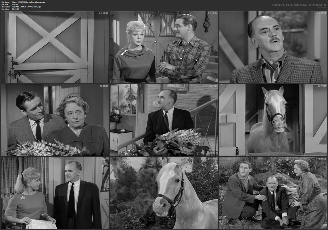 Mister Ed S03E05 Ed and the Allergy.mkv