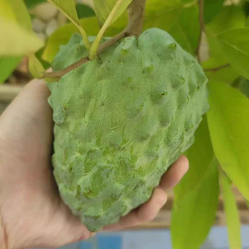 IMG_20211101_165420_220