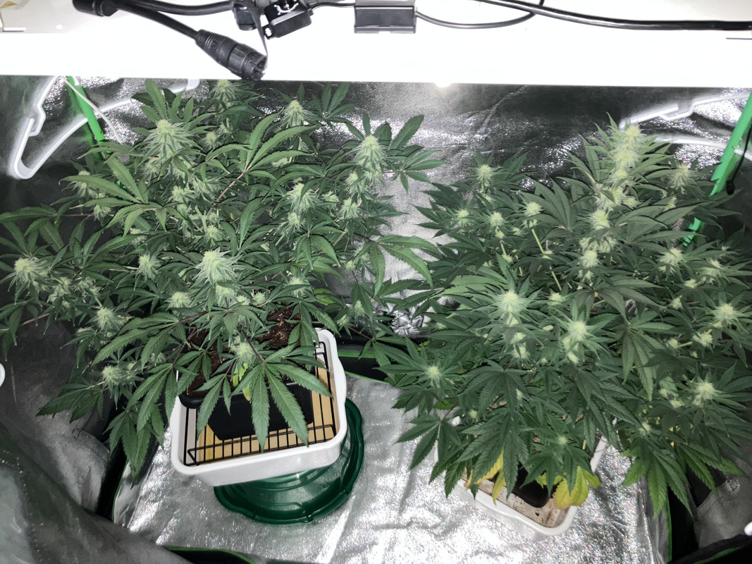 04EC1604-7351-4DCD-B567-06AE40E54974