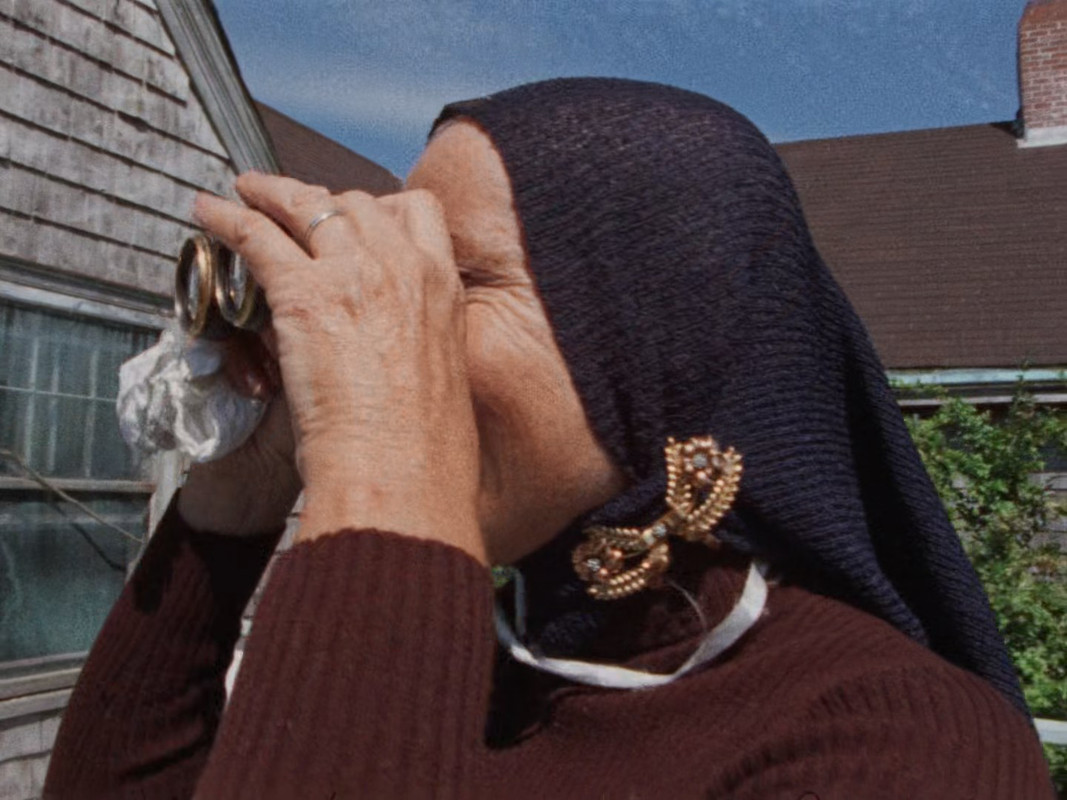 Grey Gardens (1975) (1080p BluRay x265 Silence)-5