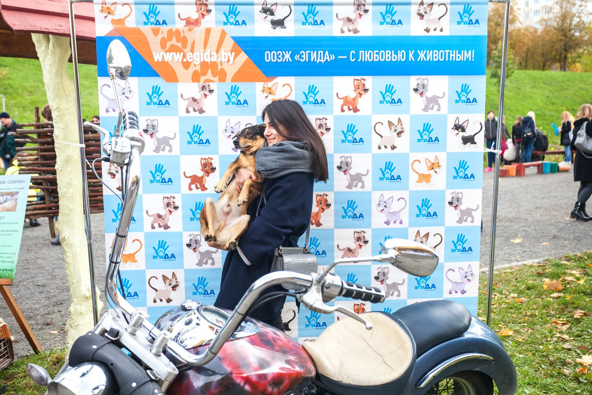 B171D3C9-5521-4106-959C-AB0F0EF948A7