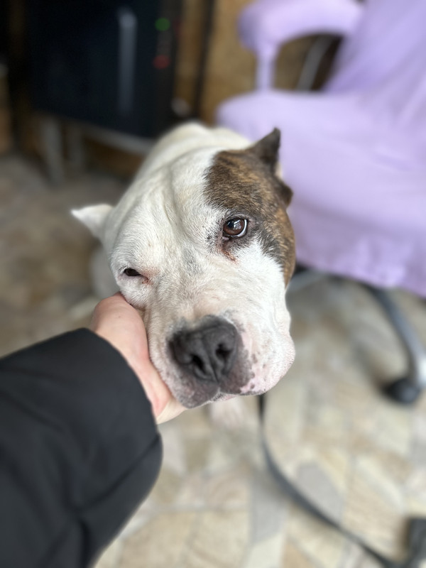 02925848-C73D-44B6-ACF9-D37F21789B13