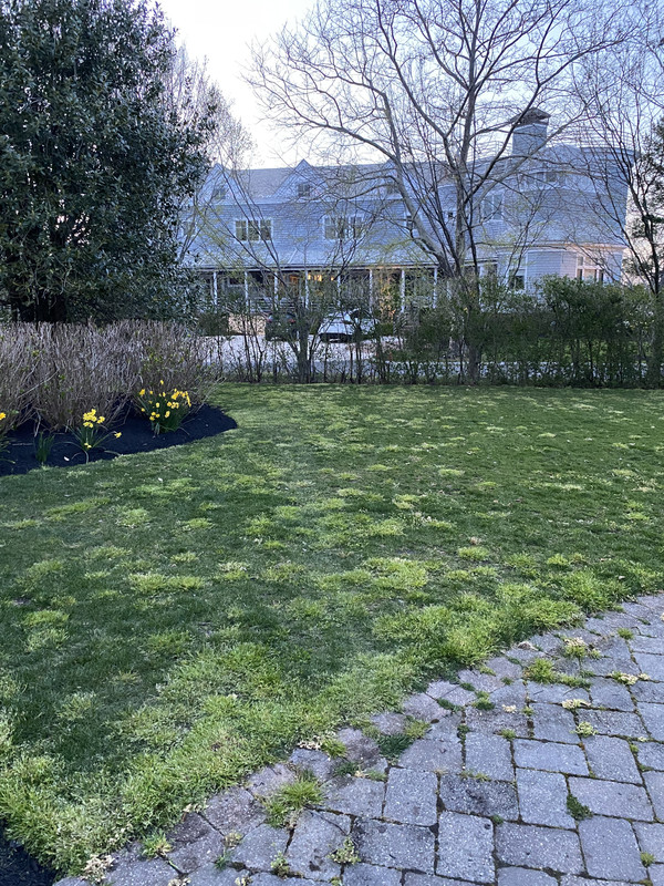 173DFE41-9FE1-44BA-8C71-D9213D8C0B6C