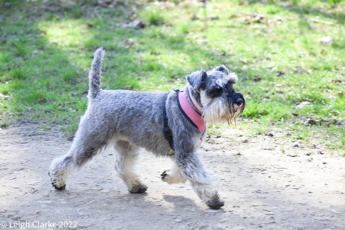 52A9369E-2DAA-483C-8EEA-8D76BAD9016A