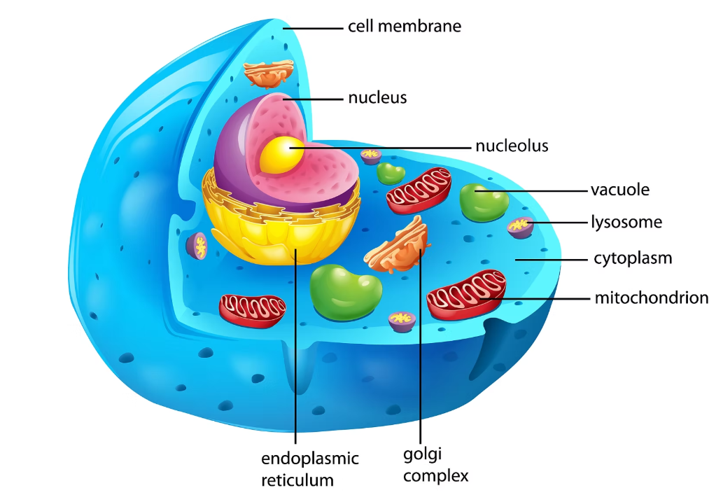 Biology Masterclass Icon