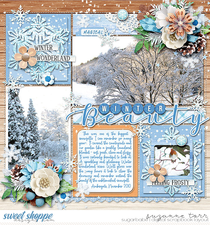 Suz-EMJanuary-Set301-700WM.jpg