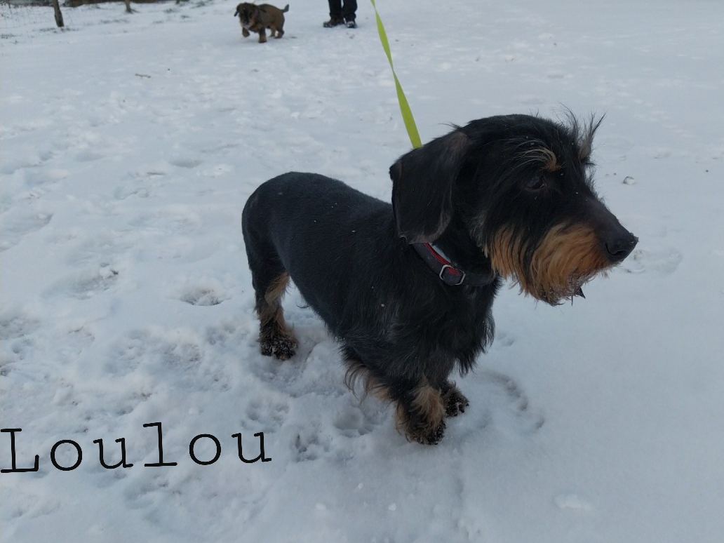 [Image: 20210211-075307.jpg]