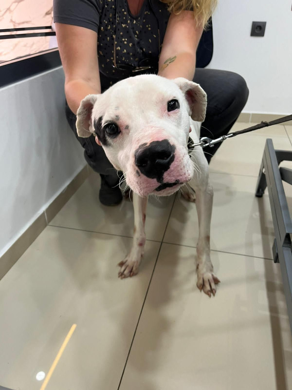 WhatsApp Image 2023-04-10 at 14.59.29 (1)