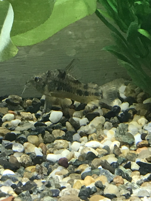 18479470-4CB6-4D77-AAF6-1901C2DC8E6F