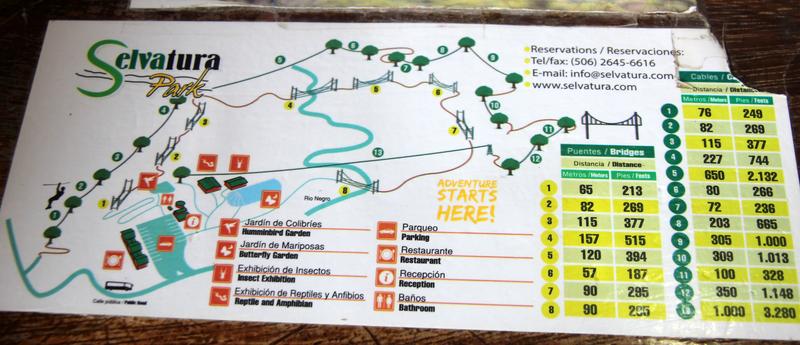 DE TORTUGAS Y PEREZOSOS. COSTA RICA 2019 - Blogs de Costa Rica - DIA 11: TIROLINAS EN MONTEVERDE Y TOUR NOCTURNO POR LA SELVA (1)