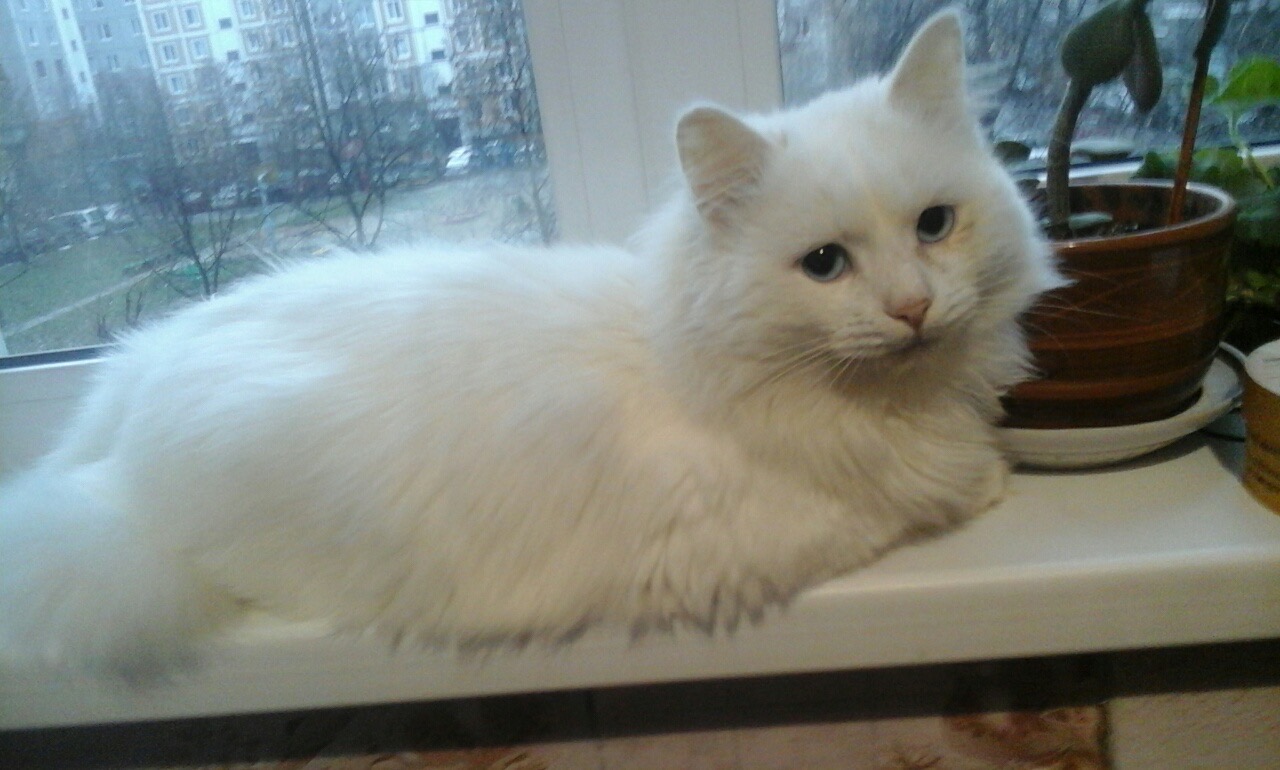 00657926-AD07-439E-BE90-038340FF815D